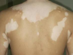 Ôõô×ö°×ñ°·çºÃת¿ì